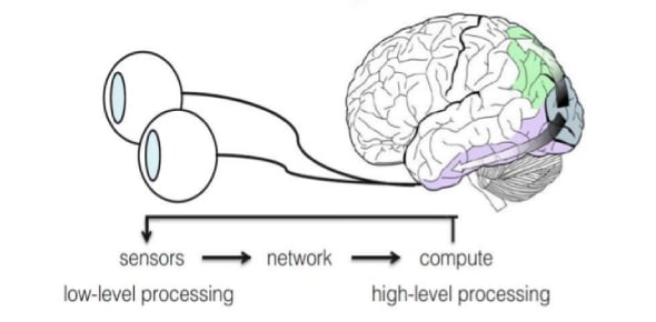 What Is The Visual Perception System, Explain Related Terms Flashcards